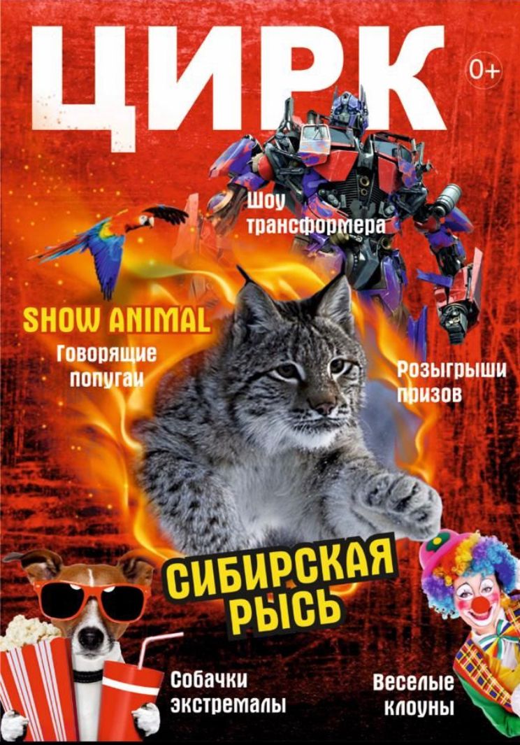 WhatsApp Image 2022 03 16 at 16.03.58