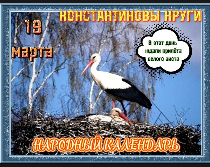WhatsApp Image 2022 03 19 at 17.42.22