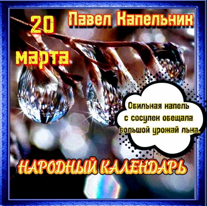 WhatsApp Image 2022 03 20 at 10.51.28